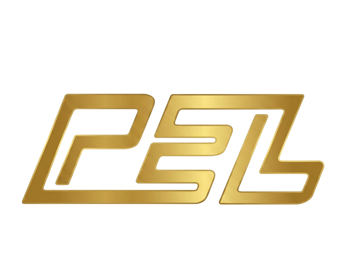 Prafulla Enterprises Limited